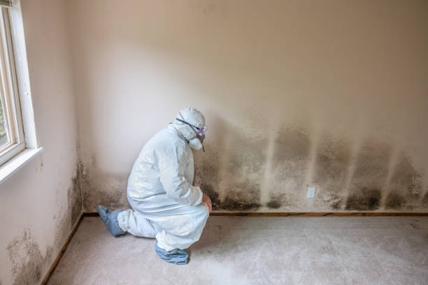 Best Industrial Mold Remediation  in Hughson, CA